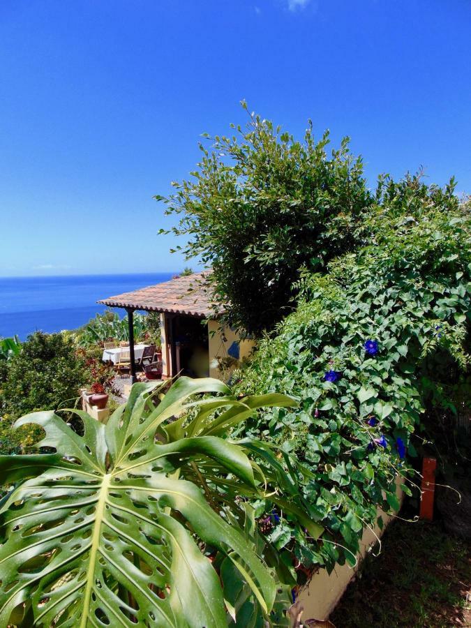 Casa Rosa Apartment